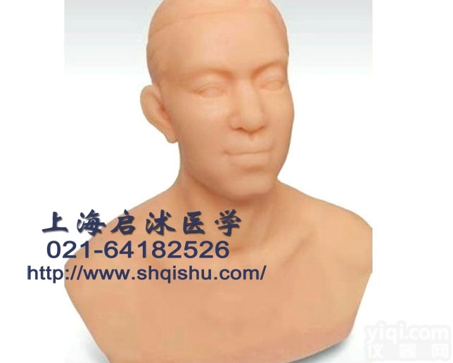 QS-T  QS-T针灸头部训练模型 头<em>针灸模型</em>