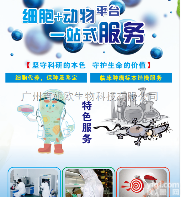 <em>广州</em>Lec1仓鼠卵巢细胞 Cas9基因敲除<em>技术服务</em> 吉妮欧生物科技