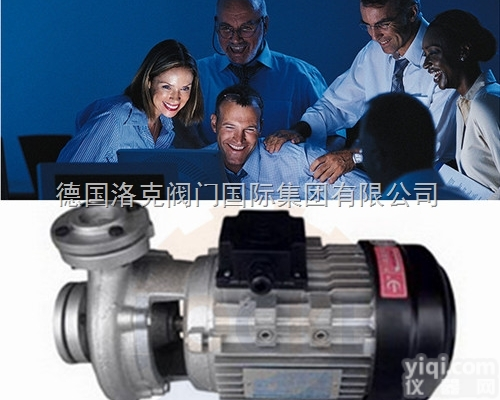 LOCKE  进口<em>高温</em><em>热油泵</em>代理商,德国进口<em>高温</em><em>热油泵</em>（洛克）