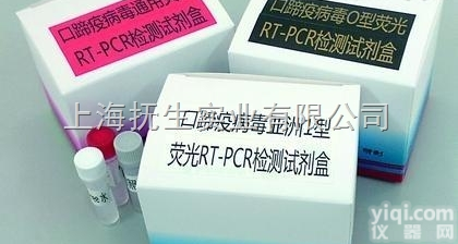 <em>猪瘟</em>病<em>抗体</em>快速检测试纸条图片