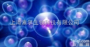 人星型胶质<em>细胞</em>系，<em>HA</em><em>细胞</em>