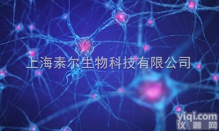 热卖细胞，Osteoclasts cells，破骨细胞