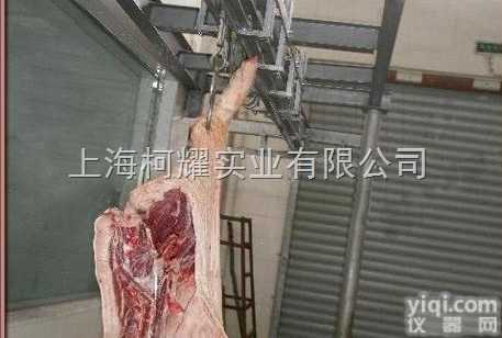 <em>轨道</em><em>电子秤</em>厂家，<em>屠宰</em>场用<em>轨道</em>秤