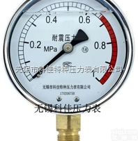耐震<em>压力表</em>厂家，耐震<em>压力表</em>规格YN-<em>50</em> YN<em>60</em> YN75 YN10...