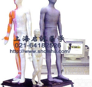 JAW-170E  人体<em>针灸</em><em>穴位</em>发光模型（键控） <em>针灸</em><em>穴位</em>发光模型