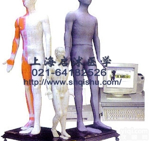 MAW-100E  多媒体<em>针灸</em>人体<em>穴位</em>发光模型 <em>针灸</em><em>穴位</em>发光模型