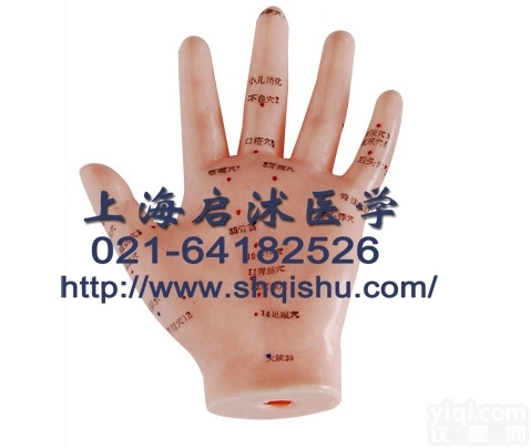 QS-XC509  手<em>针灸</em><em>模型</em> 13CM <em>手部</em><em>针灸</em><em>模型</em>