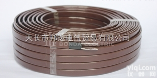 <em>陕西</em>伴热带  <em>陕西</em>伴热带DWL-J2低温水管道抗凝<em>电热带</em>