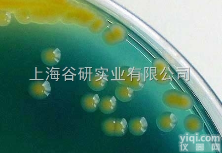 肺炎<em>链球菌</em> ATCC 49619<em>价格</em>