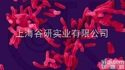 无乳<em>链球菌</em> ATCC 12386<em>价格</em>