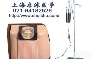 QS/L68A  脊椎<em>穿刺</em><em>模型</em>，脊椎<em>穿刺</em>模拟人，脊椎<em>穿刺</em>培训<em>模型</em>