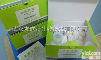 AP，APC，FITC  NET1<em>抗体</em>,去甲<em>肾上腺</em>素转运蛋白/神经递质去甲<em>肾上腺</em>素转运体<em>抗体</em>Go...