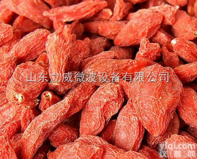 LW-30HWV-8X  <em>宁夏</em><em>枸杞</em>专用<em>烘干机</em>流水线