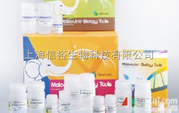 <em>真菌种属鉴定PCR Mix 2</em>