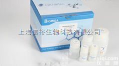 猪蓝<em>耳病</em>病毒（高<em>致病性</em>）PCR检测<em>试剂盒</em>