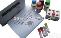 <em>口蹄疫病毒基因分型PCR检测试剂盒</em>