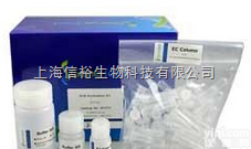 <em>非洲猪瘟病毒PCR检测试剂盒</em>