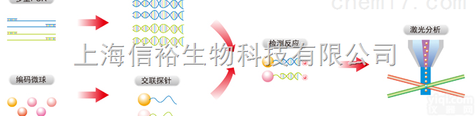 <em>口腔变形链球菌PCR检测试剂盒</em>