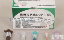 <em>沙门氏菌属PCR检测试剂盒</em>