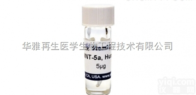 W-H-005  人<em>重组</em>WNT-5a<em>蛋白</em> 人源细胞表达高纯度和高活性的人<em>重组</em>WNT-5a...