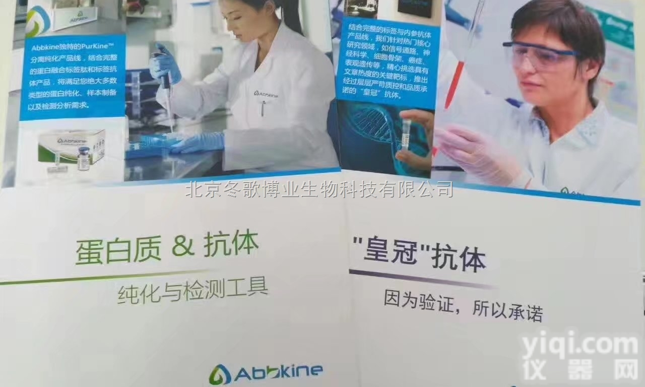 Abbkine内参<em>抗体</em>价格  ECL超敏发光<em>试剂盒</em>进口北京<em>原装</em>促销