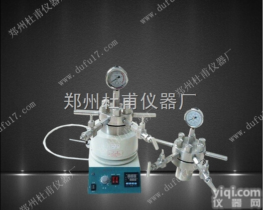 TGYF-C-50ml  小型多功能<em>高压</em>反应釜可电动搅拌<em>磁力搅拌</em>