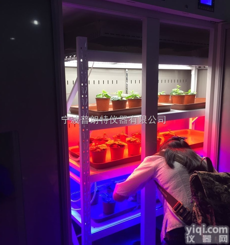 LGX-580B-LED  -20℃郑州低温光照<em>培养箱</em>，红<em>蓝光</em>比例可调