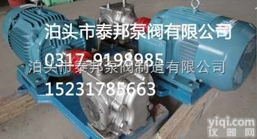 BW不锈钢<em>保温</em><em>齿轮泵</em>25BWCB-33/0.6（<em>保温</em>效果良好）