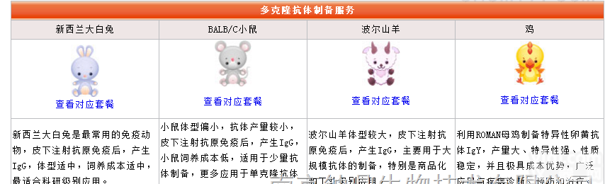 <em>多克隆抗体制备</em>