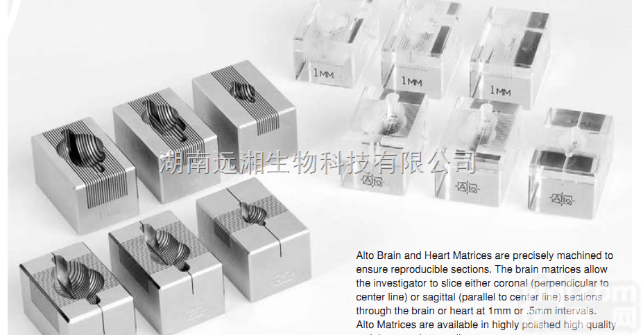 Roboz大鼠脑<em>切片</em><em>模型</em>