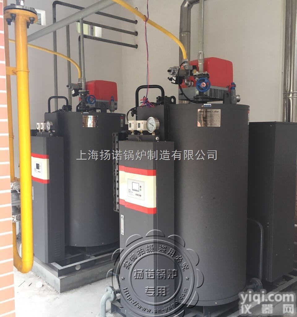 2台250kg燃油<em>燃气锅炉</em>  食品厂中药提取用500kg燃气燃油蒸汽锅炉