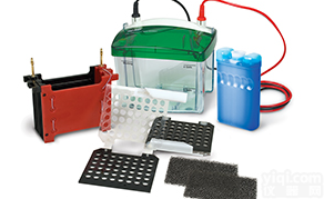 MiniTrans-Blot Cell  美国Bio-rad<em>伯乐</em>MiniTrans-Blot Cell<em>小型</em><em>转印</em>槽...