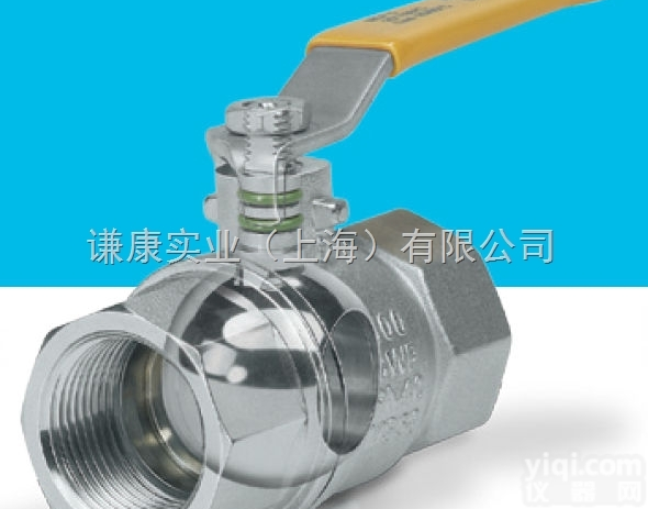 ELSTER-ELSTER  ELSTER-ELSTER<em>流量计</em>