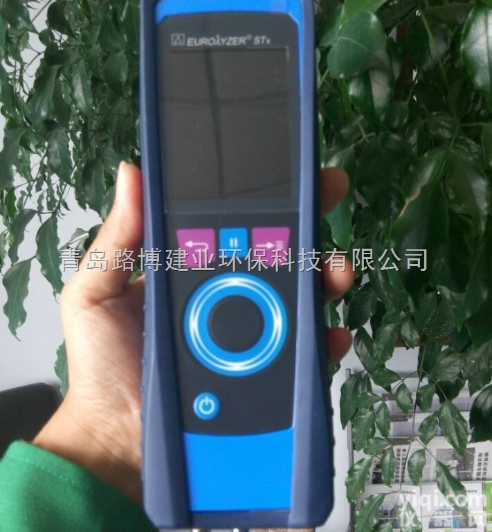 <em>德国菲索手持式烟气分析仪E30X</em>型号