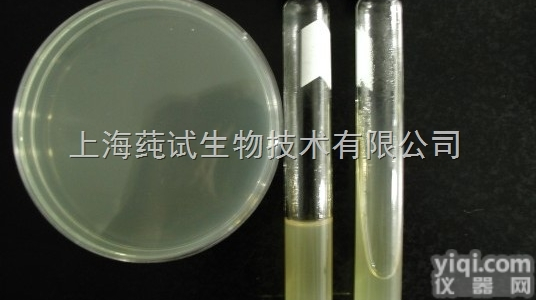 改良罗氏培养基基础使用<em>说明书</em>