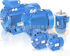 西班牙<em>CEMER电机</em>