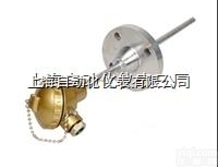 WRNM-430<em>耐磨</em><em>热电偶</em>， 上海<em>水泥厂</em><em>耐磨</em><em>热电偶</em>