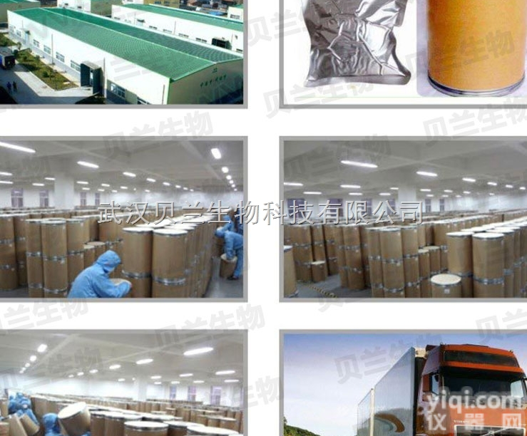 5534-09-8  <em>丙酸倍氯米松</em><em>原料药</em>物美价廉贝兰生物厂家直销