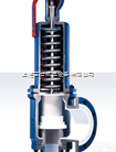 leser莱斯波纹<em>管式</em>美标<em>系列</em>安全阀