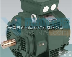 <em>西班牙</em>WA MOTORS<em>电机</em>