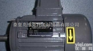 M80a  <em>优势</em>供应意大利CARPANELLI电机，特殊电机，电容