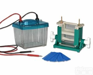 DYCZ-25D型  DYCZ-25D型垂直<em>电泳槽</em>北京六一<em>厂家</em>报价