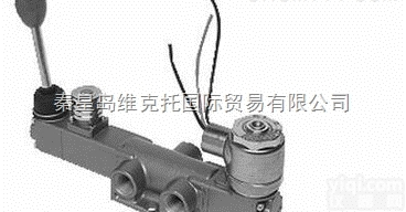 BSG-3308-316-XIFA-D0  优势供应美国VERSA<em>电磁阀</em>，防爆<em>电磁阀</em>，<em>控制阀</em>等产品。