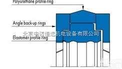<em>密封圈</em>T44型  <em>Merkel</em> 压紧型<em>密封圈</em>T44型