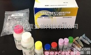 <em>大肠杆菌0157荧光PCR检测试剂盒</em>