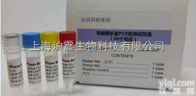 军团菌16S rRNA基因<em>荧光</em>PCR检测<em>试剂盒</em>（探<em>针法</em>）