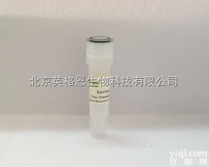 30001  Envirus<em>病毒</em><em>感染</em>增强剂提高<em>感染</em>效率5-10倍