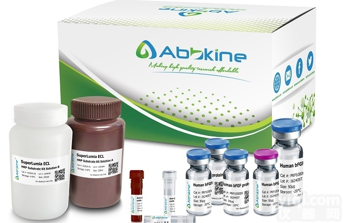 BMR21000  抗体<em>纯化</em>SulfoLink<em>亲和</em>层析填料-PurKine Antibod...