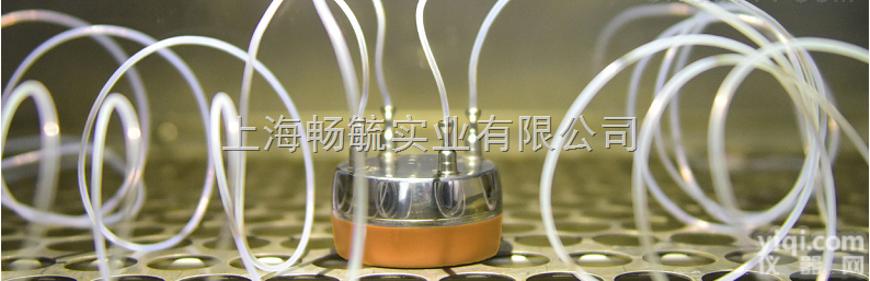 PRO6  温度压力验证仪