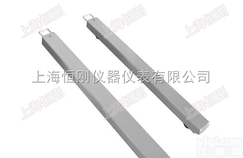 scs  <em>耐腐蚀</em>条形<em>地磅</em>秤